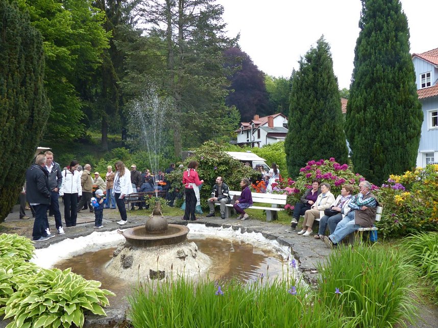 Das Rhododendronfest in S&uuml;lzhayn hat inzwischen gute Tradition