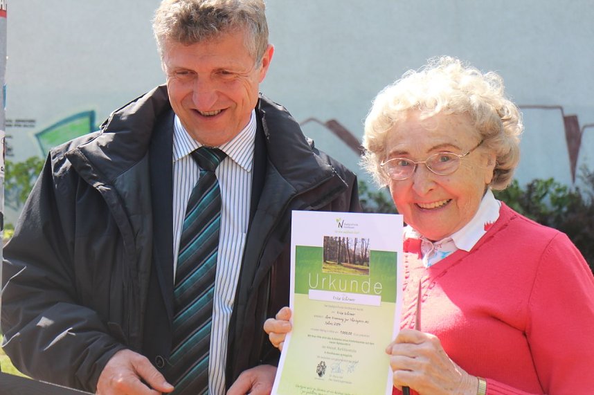 Neuer Kletterbaum in Nordh&auml;user Altstadt freigegeben