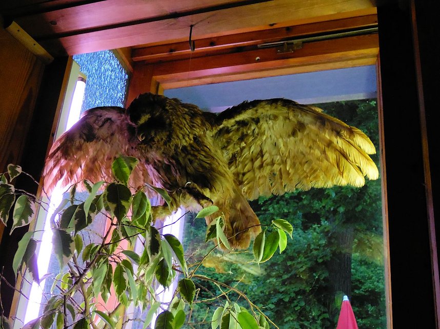 Besuch in der Obergrasm&uuml;hle