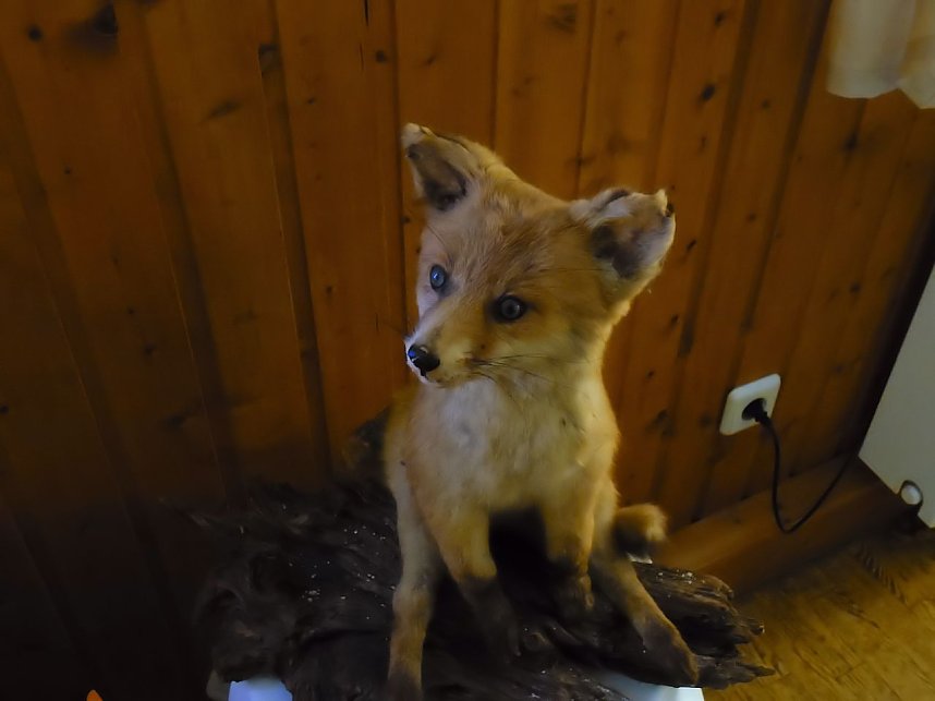 Besuch in der Obergrasm&uuml;hle