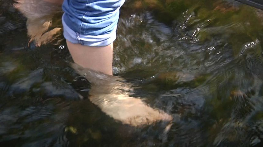 Zum ersten Nordh&auml;user "Anwassern" waren viele Teilnehmer und Schaulustige erschienen