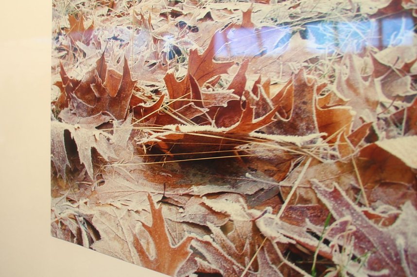 In der neuen Ausstellung der Kreissparkasse "Verg&auml;nglichkeiten" werden Natur und Handwerkskunst miteinander verbunden