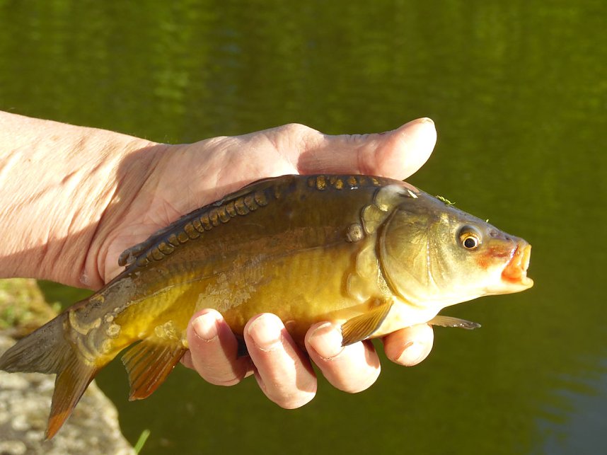Peter Blei unterwegs in Stolberg