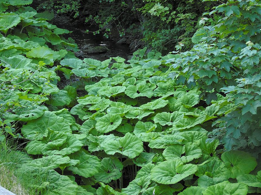 Peter Blei unterwegs in Stolberg