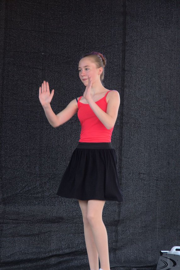 Areefest in Niedersachswerfen (der Samstag)