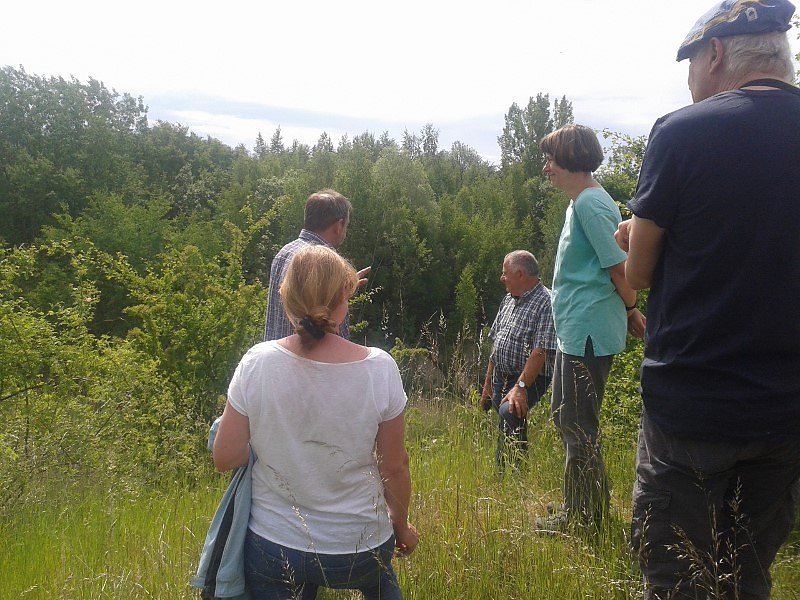 Exkursion in eine Sandgrube