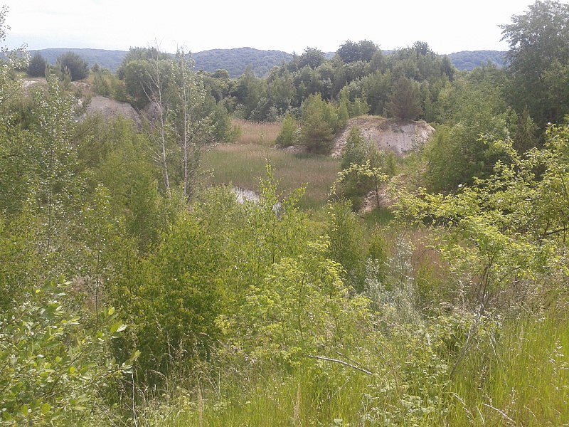 Exkursion in eine Sandgrube