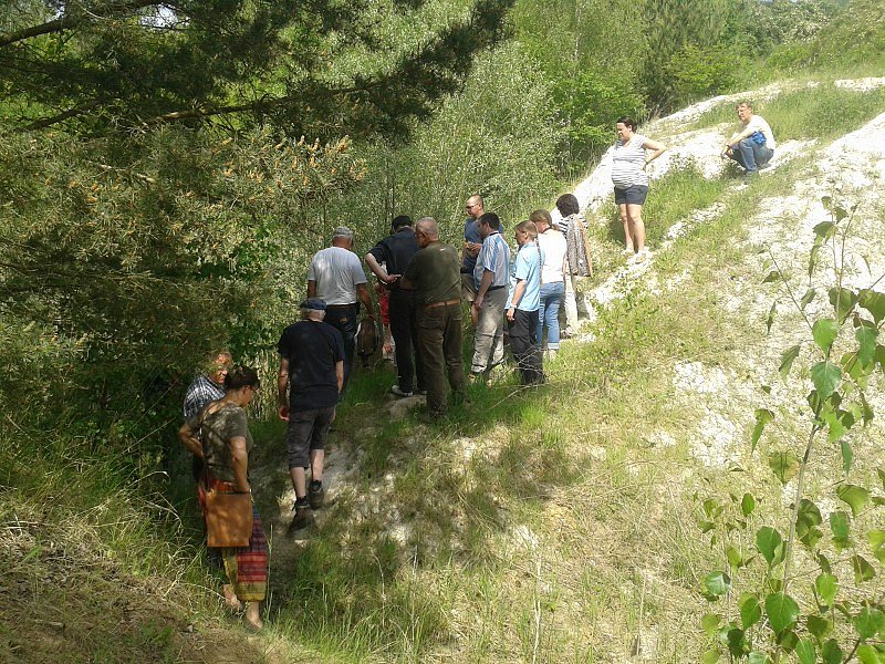 Exkursion in eine Sandgrube