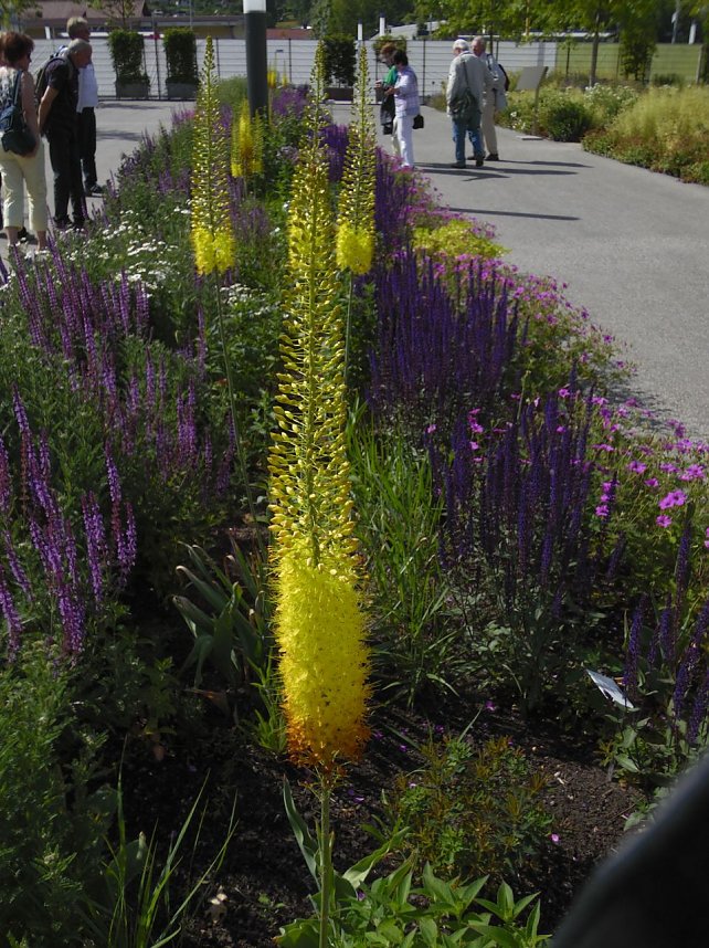 Landesgartenschau in Schmalkalden