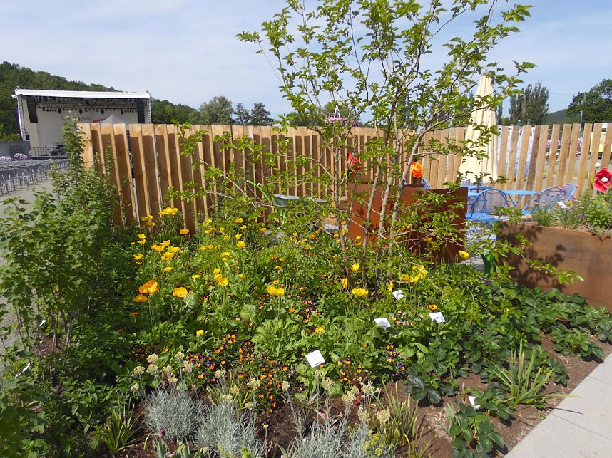 Landesgartenschau in Schmalkalden