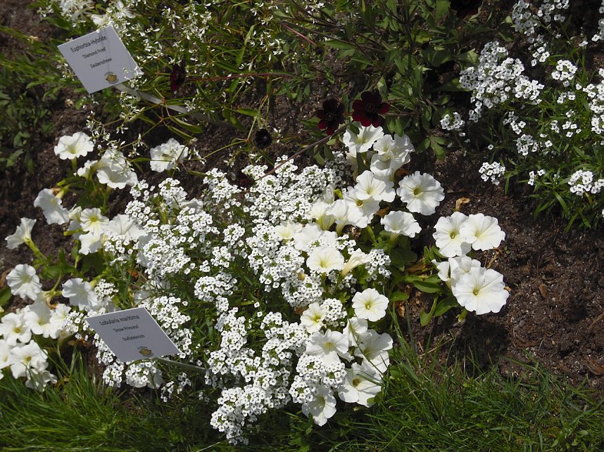 Landesgartenschau in Schmalkalden