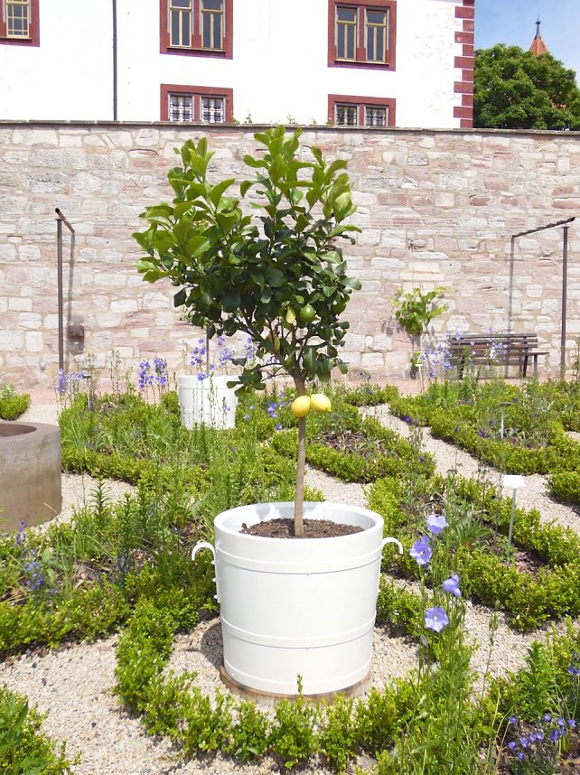 Unterwegs in Schmalkalden