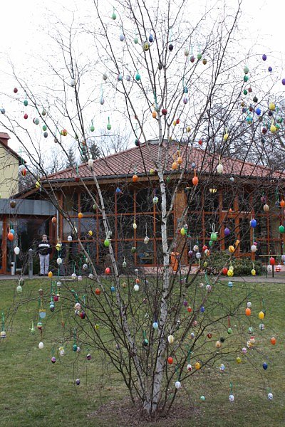 Der Osterhase kann kommen
