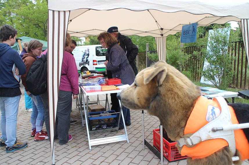 Sport frei! Die Nordth&uuml;ringer Lebenshilfe feierte heute wieder ihr j&auml;hrliches Sportfest in Nordhausen
