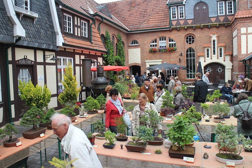 Fern&ouml;stliche Kunst in Gr&uuml;n - Bonsai-Ausstellung in der Echte Nordh&auml;user Traditionsbrennerei