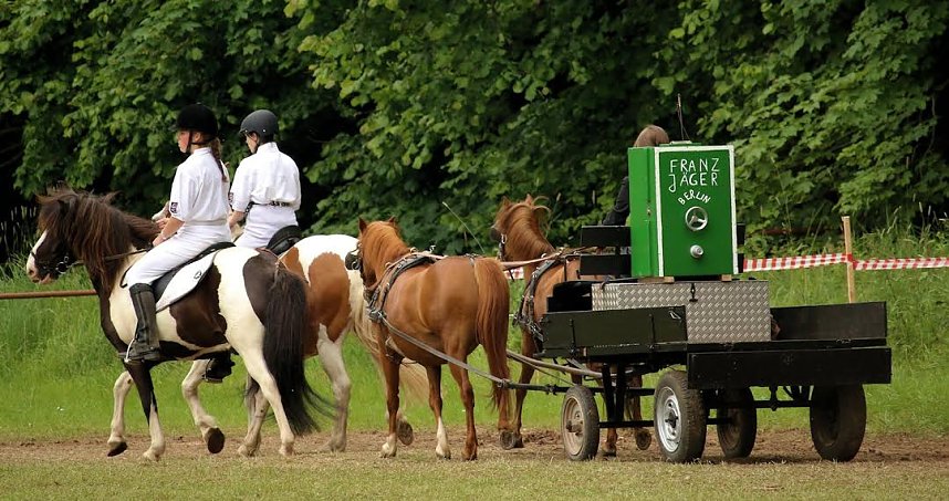 Pferde, Pferde und nochmals Pferde