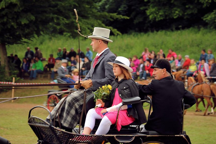 Pferde, Pferde und nochmals Pferde