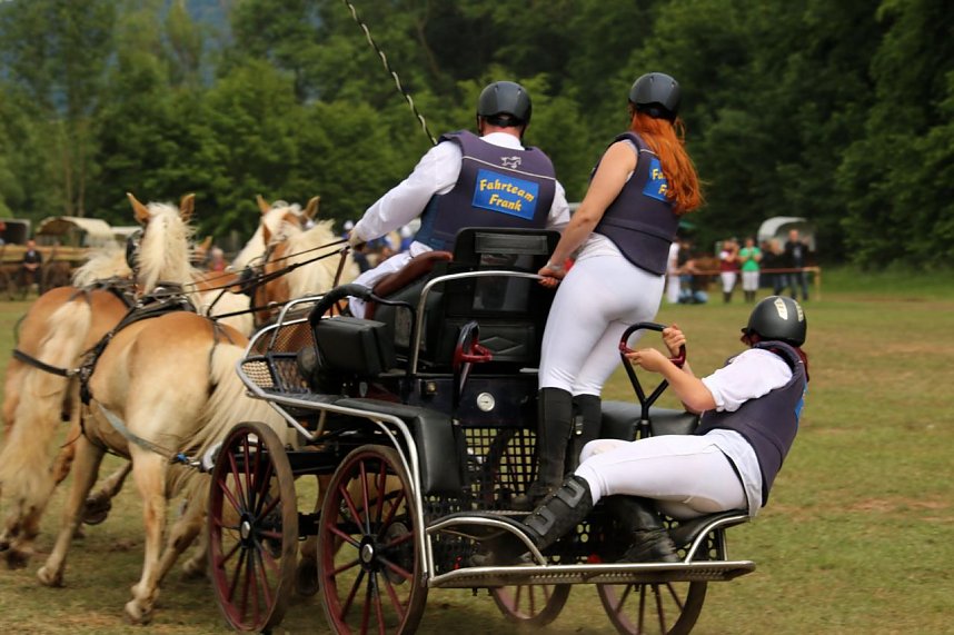 Pferde, Pferde und nochmals Pferde