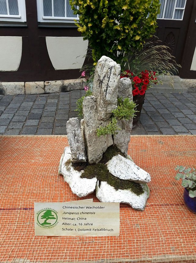Bonsai in der Brennerei