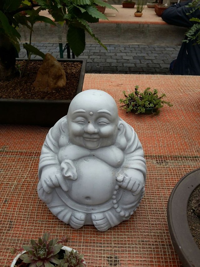 Bonsai in der Brennerei