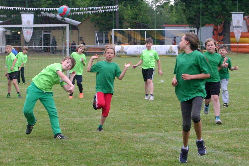 2. Handball-Wippercup