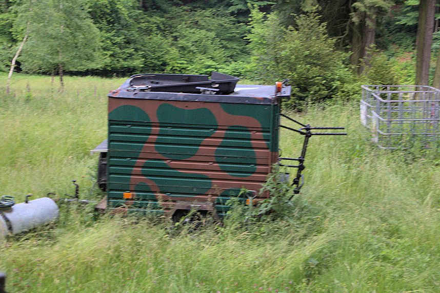 Musik und mehr am ehemaligen Sanatorium Rodehorst