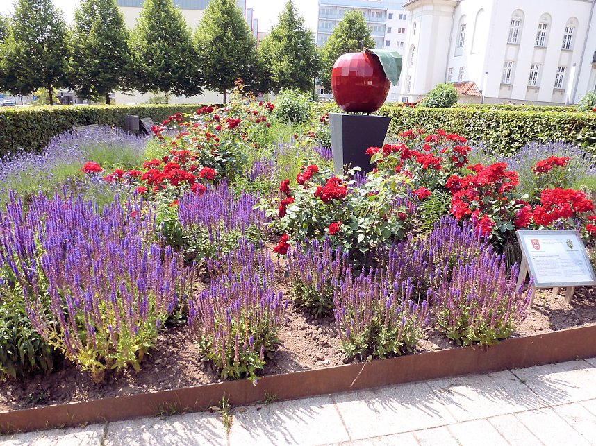 Bl&uuml;tenpracht in Nordhausens Promenade