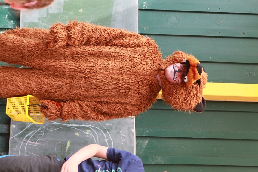 Die KITA Wipperb&auml;ren &ouml;ffnete ihre Tore