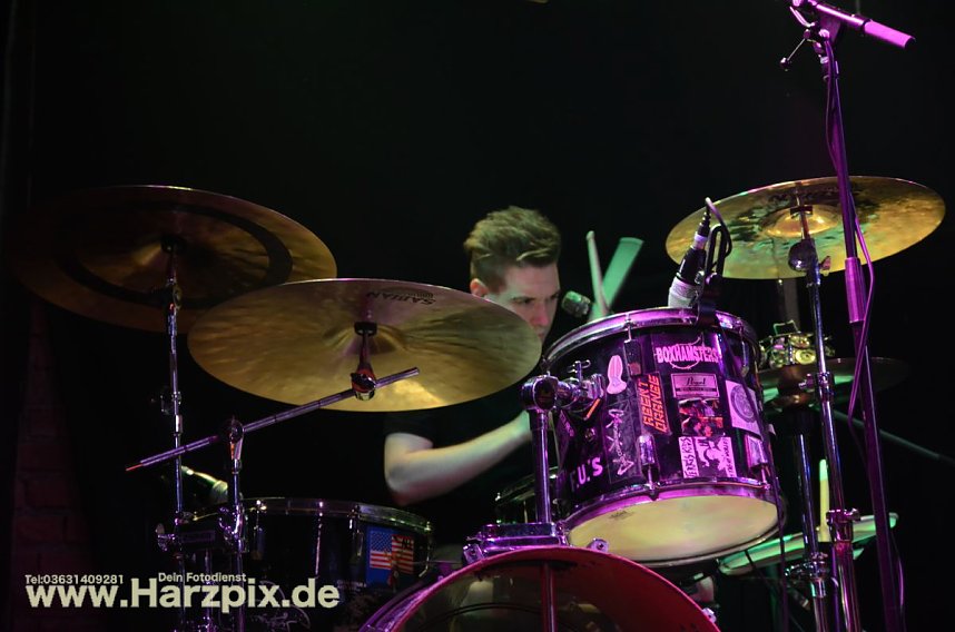 BOXHAMSTERS & DER REST LIVE