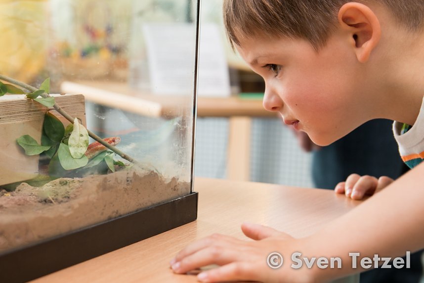 "Kleine Strolche" im Dschungelfieber