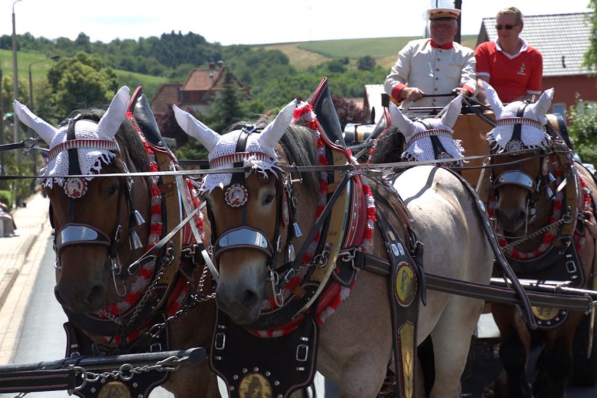 Festumzug in Uthleben