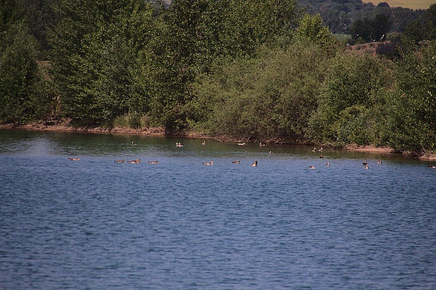 Industrie an den Bielener Kiesgew&auml;ssern