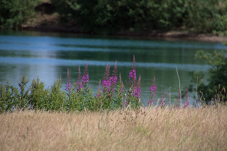 Industrie an den Bielener Kiesgew&auml;ssern