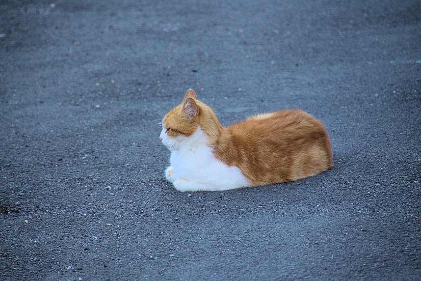 Unterwegs in Schierke