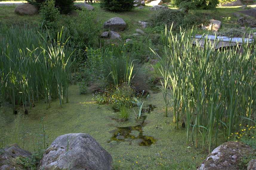 Unterwegs in Schierke