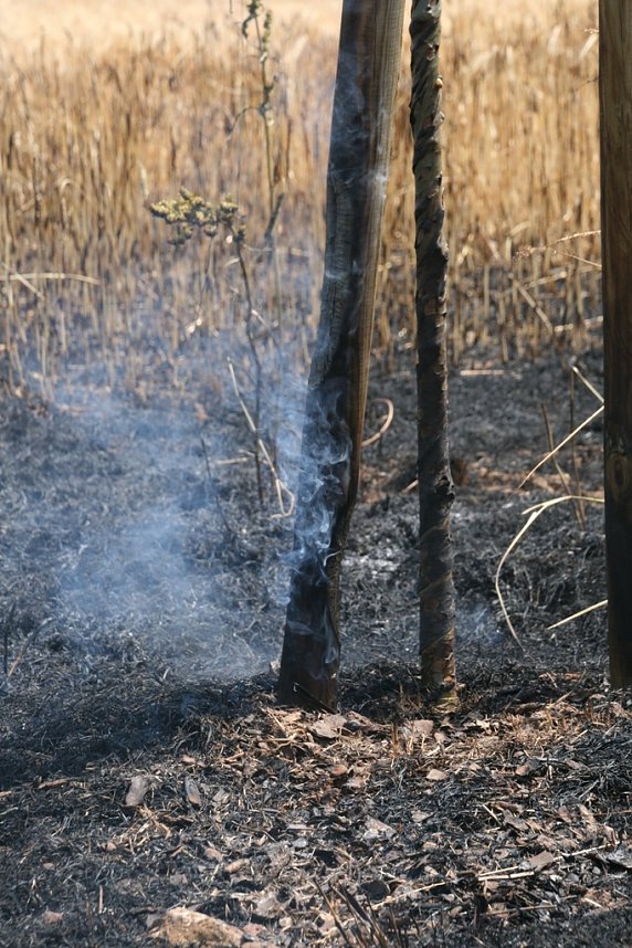 Feuer zwischen Klein- und Gro&szlig;furra