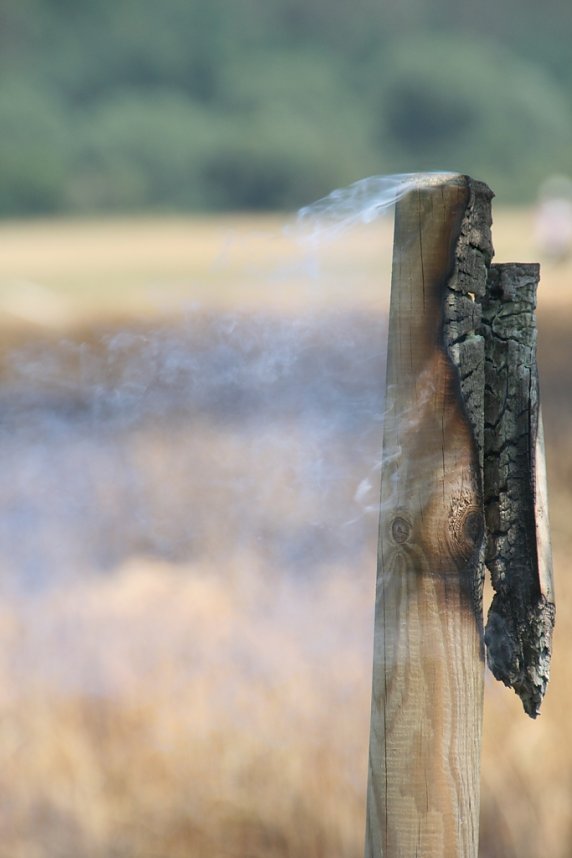 Feuer zwischen Klein- und Gro&szlig;furra