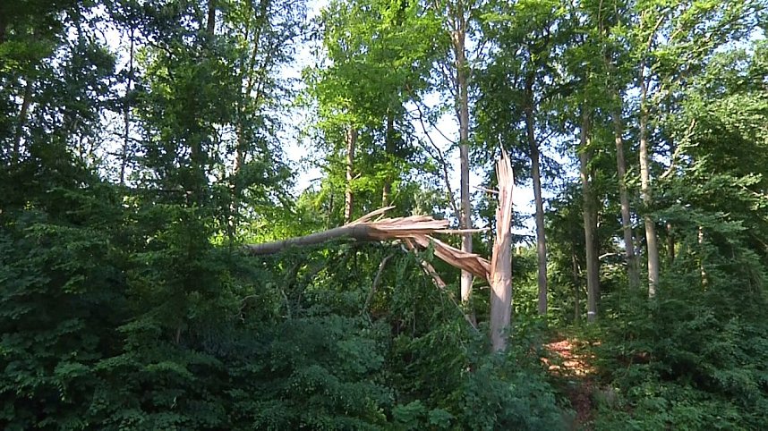 In den Morgenstunden wurde im Landkreis Nordhausen mit den Aufr&auml;umarbeiten begonnen