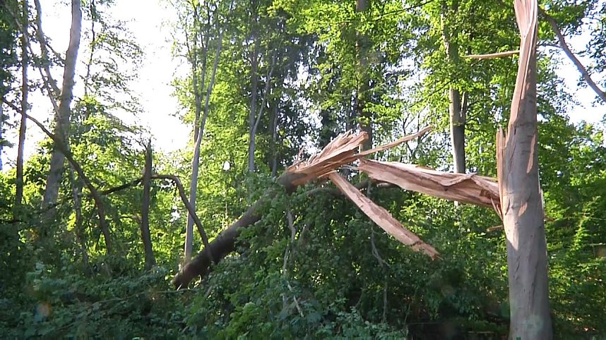 In den Morgenstunden wurde im Landkreis Nordhausen mit den Aufr&auml;umarbeiten begonnen