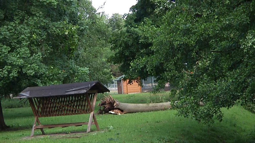 In den Morgenstunden wurde im Landkreis Nordhausen mit den Aufr&auml;umarbeiten begonnen