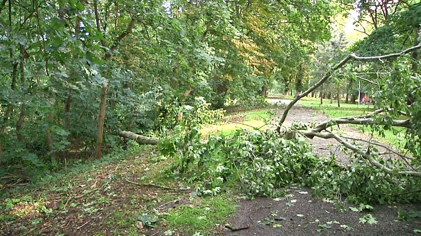 In den Morgenstunden wurde im Landkreis Nordhausen mit den Aufr&auml;umarbeiten begonnen