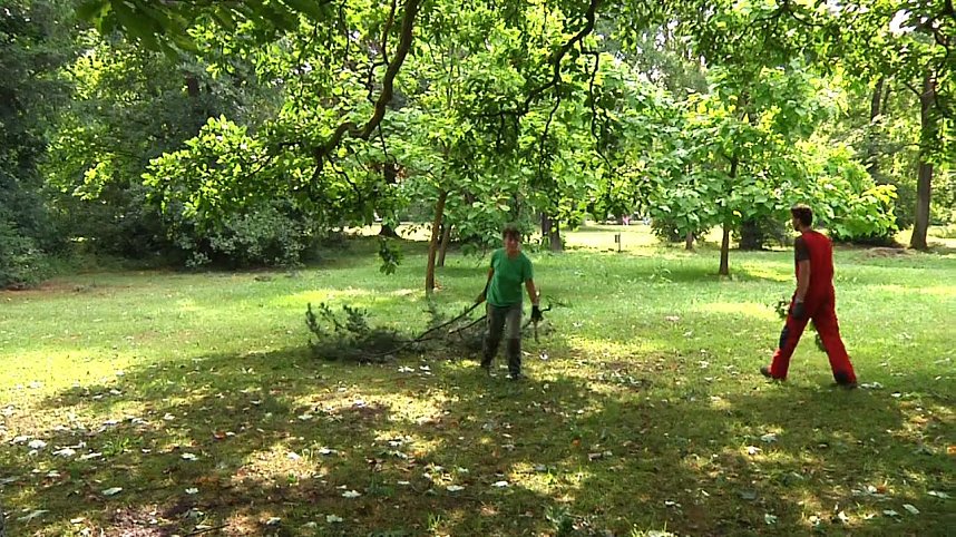 In den Morgenstunden wurde im Landkreis Nordhausen mit den Aufr&auml;umarbeiten begonnen