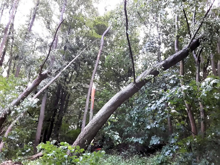 Unwettersch&auml;den in Nordhausen