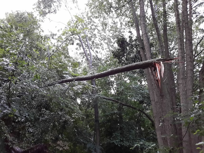 Unwettersch&auml;den in Nordhausen