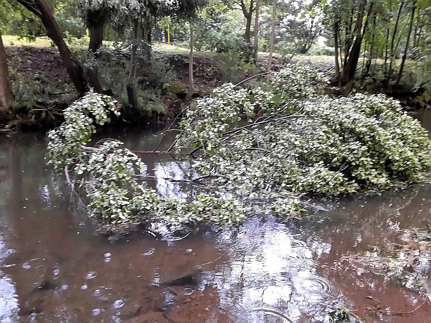Unwettersch&auml;den in Nordhausen