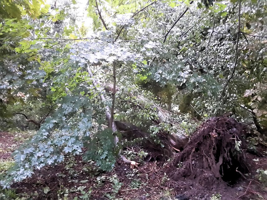 Unwettersch&auml;den in Nordhausen