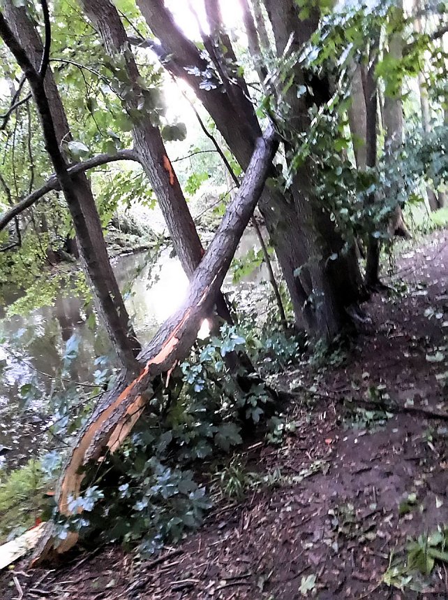 Unwettersch&auml;den in Nordhausen