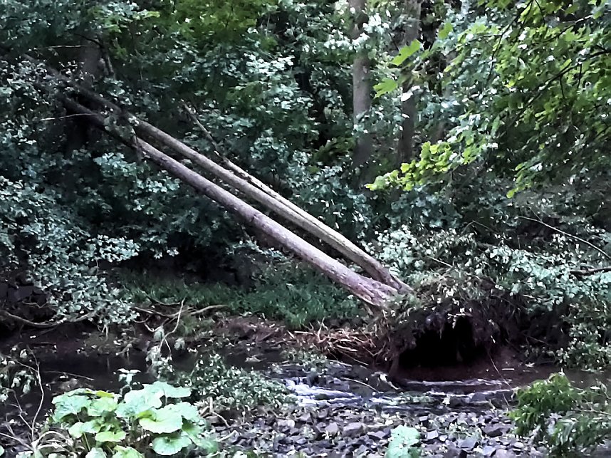 Unwettersch&auml;den in Nordhausen