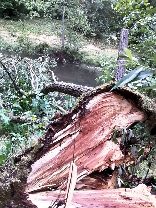 Unwettersch&auml;den in Nordhausen