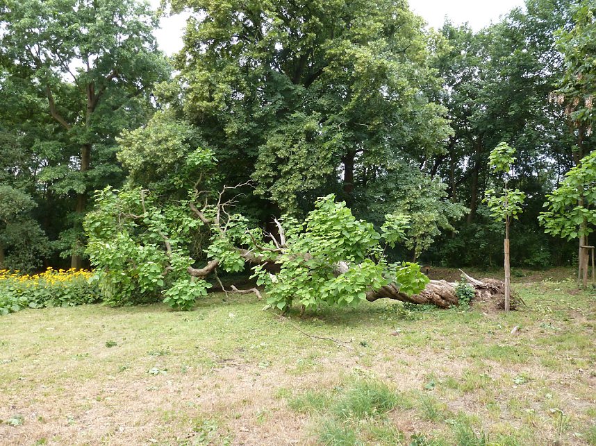 Unwettersch&auml;den in Nordhausen